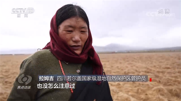 1623115727602510.png 2.png