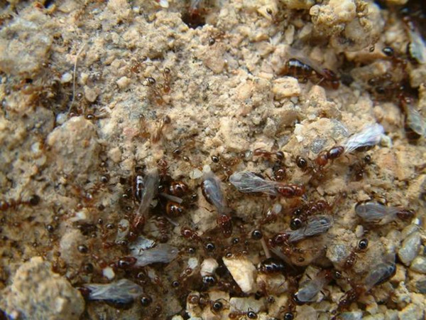 1639641942681980.jpg e850352ac65c1038d41d068dd676ea1ab17e898b.jpg